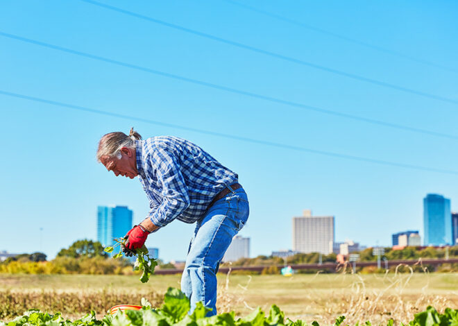 Texas Health Grants to Six North Texas Organizations Expand Access to Fresh Produce