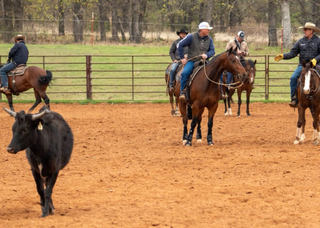 War Horse Legends Challenging returning to FW